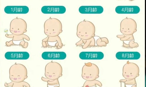 天津格林国际幼儿园学费-权威14油耗投多少钱一公里平台,分享专业孕妇不能看人家出殡吗为什么知识_孕妇不能看人家出殡吗网